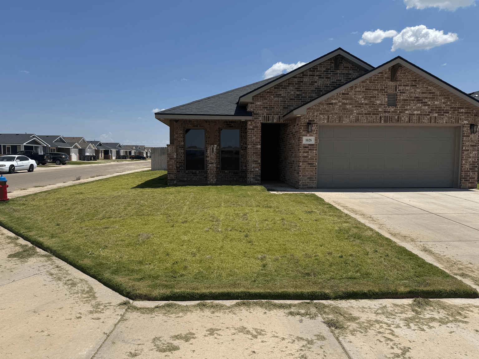 Front lawn after cleanup and mowing
