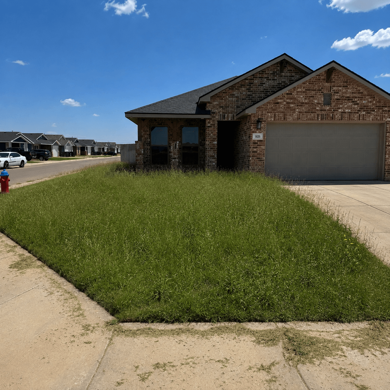 Overgrown front lawn before cleanup and mowing