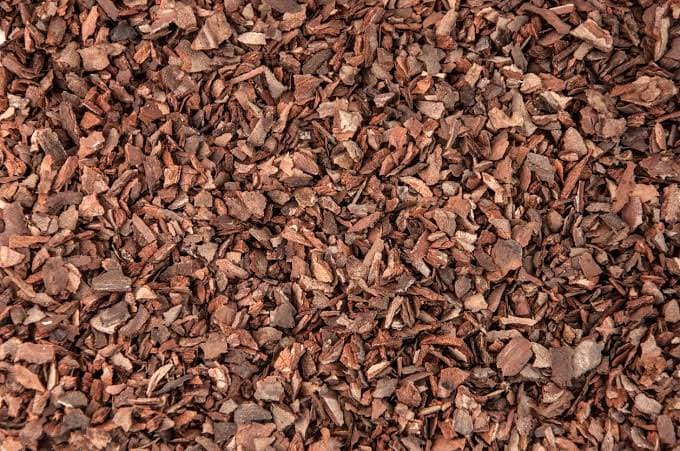 Pine Bark